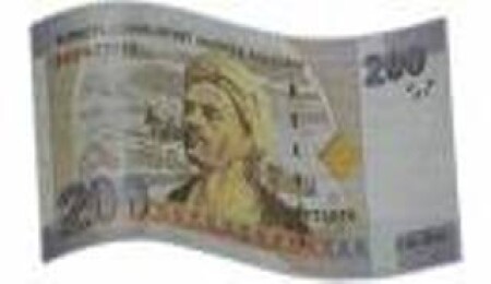 Türk lirası döndü