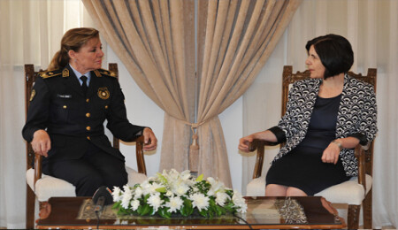 Cumhuriyet Meclisi Başkanı Siber, Polis Genel Müdür Vekili Gürler'i kabul etti