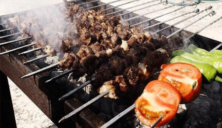 Bonzai'yi kekik sandı, mangalda kullandı: Zehirlenen 9 kişiden 1'i öldü