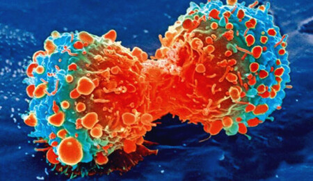 Kanda enfeksiyona neden olan bazı bakteri türleri, en güçlü antibiyotiklere karşı dirençlerini artırıyor