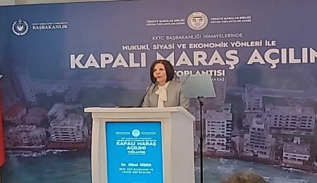 Siber: “Uluslararası hukuk çerçevesinde mülkiyete çözüm bulabiliriz, Maraş da bunun bir parçası”