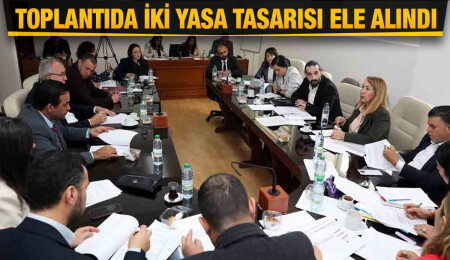 Hukuk, Siyasi İşler ve Dışilişkiler Komitesi toplandı