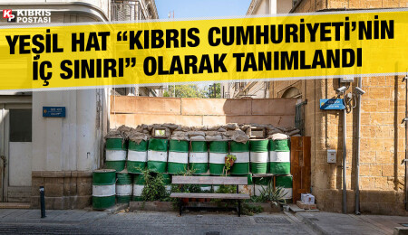 Yeşil Hat için Schengen Bilgi Sistemi uygulaması