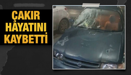 Trafik kazasına bir can daha...