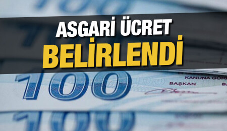 Asgari ücret belirlendi: Net 8 bin 600 TL