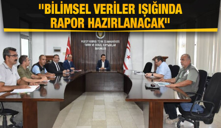 Tarım Bakanı Oğuz: Yanan orman alanları konusunda bilimsel çalışma başlatıldı