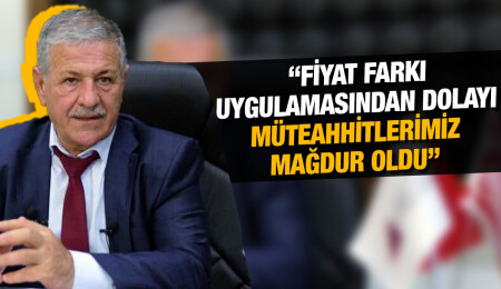 Cafer Gürcafer: Kamu ihalelerinde kaplumbağa bile bizden daha süratli