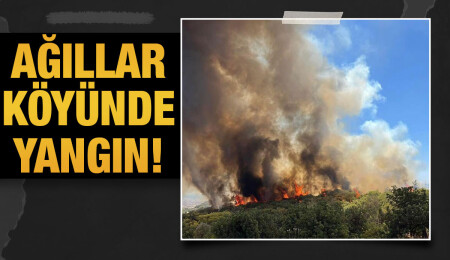 Ağıllar köyünün kuzey doğusunda yangın