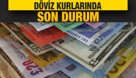 Euro 18,32 liradan, sterlin 21,12 liradan güne başladı