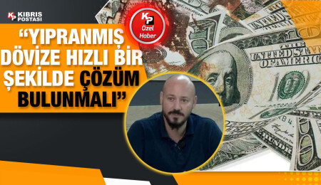 Ekonomist Yrd. Doç. Dr. Umarbeyli: Yıpranmış dövize çare bulunması lazım, piyasada geçmiyor…