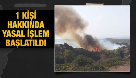 Son 1 haftada 13 yangın çıktı