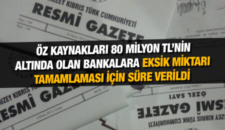 Bankaların asgari sermaye miktarı 80 milyon TL olarak belirlendi