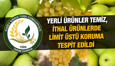 Tarım Dairesi, ithal ürünlerde limit üstü kalıntı tespit etti