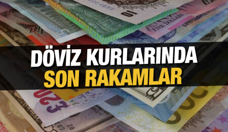 Euro 18,41 liradan, sterlin 21,43 liradan güne başladı