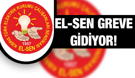 EL-SEN Pazartesi günü tüm bölgelerde uyarı grev yapacak