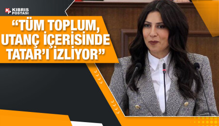 Fazilet Özdenefe: Imagine Projesi, Cumhurbaşkanı Ersin Tatar’ı neden rahatsız etti?