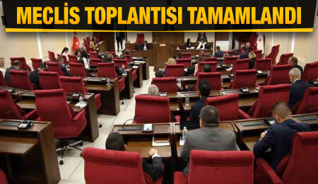 Cumhuriyet Meclisi, Sayıştay Komitesi yasa tasarıları ile Polis Örgütü Yasa Tasarısı’nı onayladı