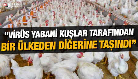 Dr. Petros Karayannis: Güney Kıbrıs'ta kuş gribi vakalarıyla ilgili endişelenmeye gerek yok