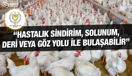 Veteriner Dairesi: Tüm kümes hayvanları kapalı alanlarda tutulmalı