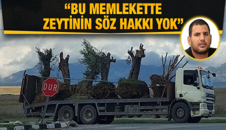 Hasan Sarpten’den zeytin ağaçlarının sökülmesine tepki!