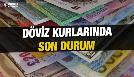 Euro 19,71 liradan, sterlin 22,94 liradan haftaya başladı