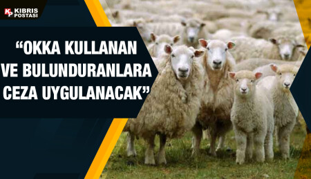 Hayvan satışlarında okka kullanan kişilere yasal işlem başlatılacağı açıklandı