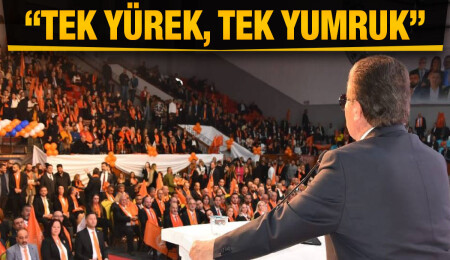 Lefkoşa'da büyük buluşma...