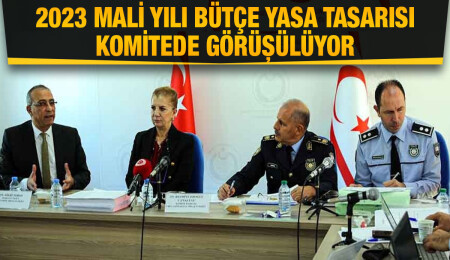 Güvenlik Kuvvetleri Komutanlığı ve Polis Genel Müdürlüğü bütçeleri komitede onaylandı