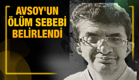 Mehmet Avsoy'un otopsi raporu açıklandı