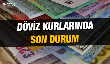 Euro 19,83 liradan, sterlin 22,49 liradan haftaya başladı
