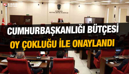 Cumhurbaşkanlığı bütçesi Meclis’ten geçti
