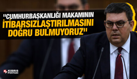 Özdemir Berova: Cumhurbaşkanının itibarını zedeleme amaçlı yapılan konuşmaları kabul edemeyiz