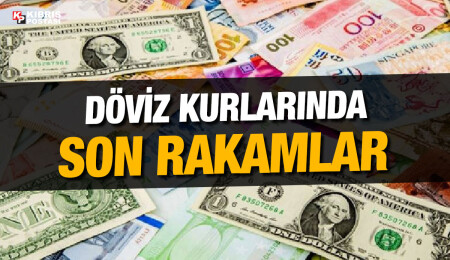 Euro 19,82 liradan, sterlin 22,47 liradan güne başladı