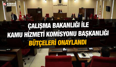 Çalışma Bakanlığı ile Kamu Hizmeti Komisyonu Başkanlığı bütçeleri onaylandı