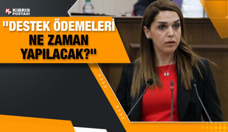 Fide Kürşat: Ek bütçe sinyalleri şimdiden alınmaya başlandı