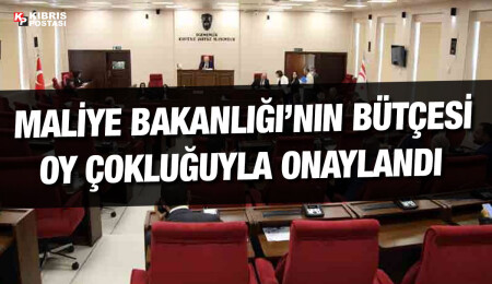Maliye Bakanlığı bütçesi onaylandı