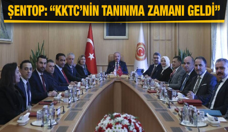 Hukuk, Siyasi İşler ve Dışilişkiler Komitesi, TBMM Başkanı Mustafa Şentop ile görüştü