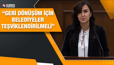 Jale Refik Rogers: Geri dönüşüm politika haline gelmesi gerekiyor
