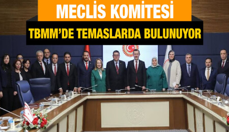 Meclis Komitesi TBMM’de temaslarda bulunuyor