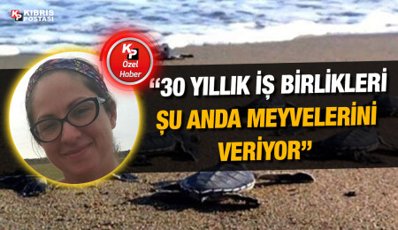 Damla Beton: Alagadi içerisinde yasadışı bir inşaat girişimi başlatılmıştır