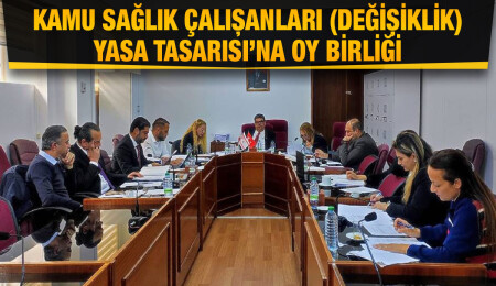 İdari, Kamu ve Sağlık İşleri Komitesi gündemindeki öneri ve tasarıları görüştü