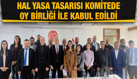 Hal Yasa Tasarısı komiteden geçti