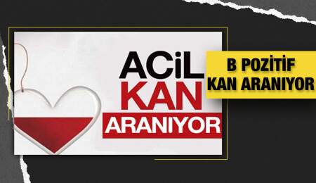 Hülya Ayalılar için B pozitif kan aranıyor