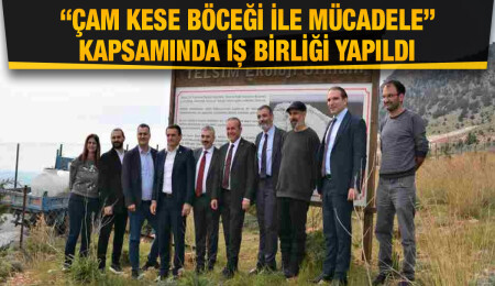 Telsim Ekoloji Ormanı’nda, “Çam Kese Böceği ile mücadele” kapsamında iş birliği