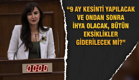 Jale Refik Rogers: Bilerek isteyerek, kaos yaratılıyor