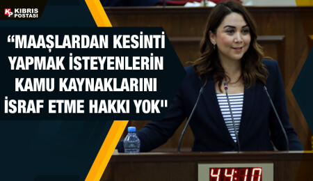 Ayşegül Baybars: Devlet, yükümlülüklerini yerine getiren yurttaşın cebine elini atmaya devam ediyor
