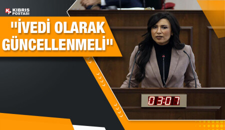 Fazilet Özdenefe: Kişisel Verilerin Korunması Yasası güncellenmeli