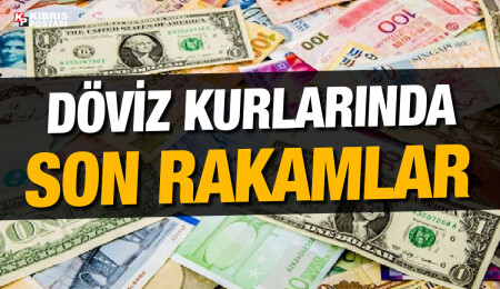 Sterlin 23,59, euro 20,72, dolar 19,19 liradan işlem görüyor