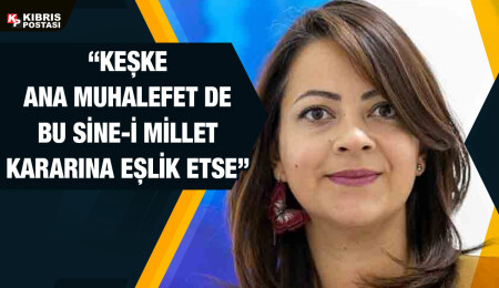 Mine Atlı: TDP, toplumun iradesiyle seçimlere katılıp katılmama noktasında kararını verecek