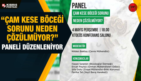 “Çam Kese Böceği Sorunu Neden Çözülmüyor?” konulu panel Perşembe günü yapılıyor